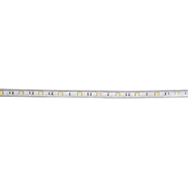 Ecola LED strip 220V STD 4,8W/m IP68 10x6 60Led/m 6000K 4Lm/LED 240Lm/m лента 10м.