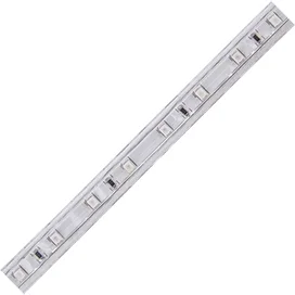 Ecola LED strip 220V STD 4,8W/m IP68 12x7 60Led/m Blue синяя лента 100м.